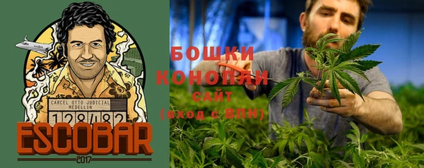 2c-b Бородино