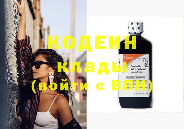 2c-b Бородино